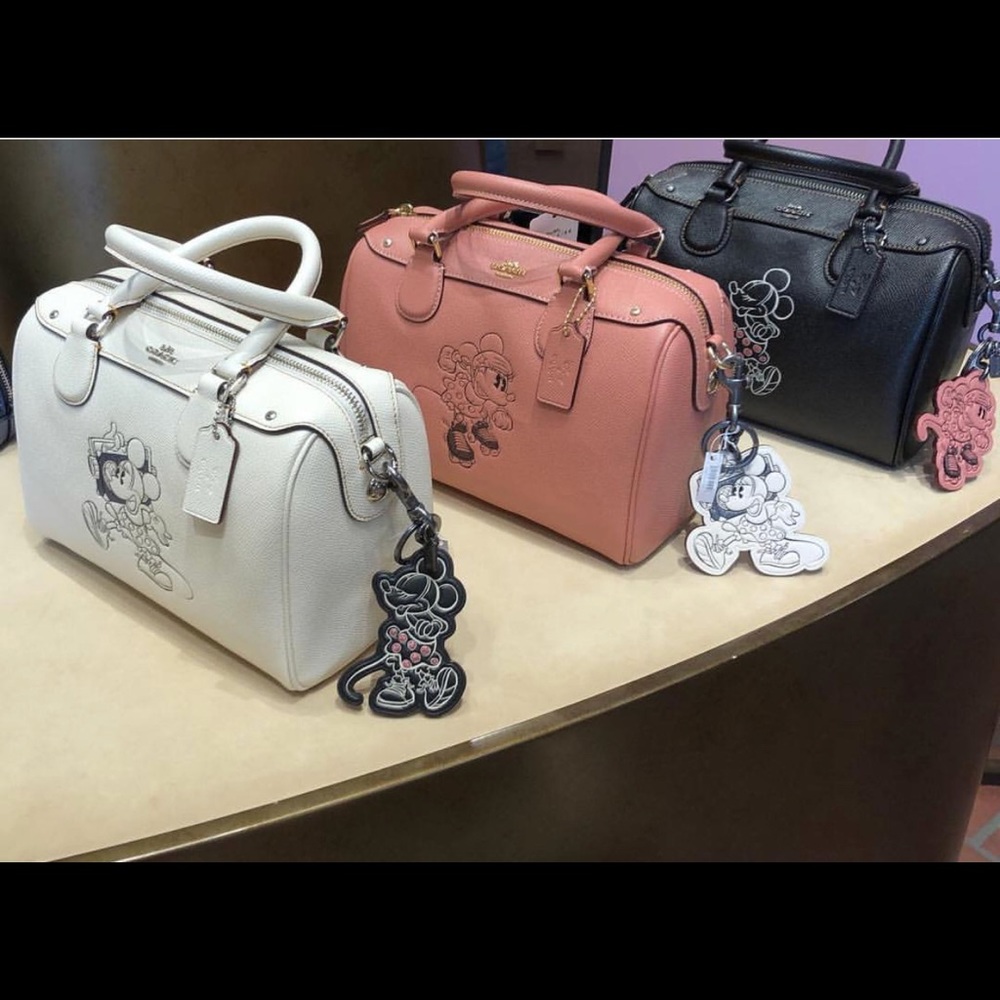 Information for coach x disney lover